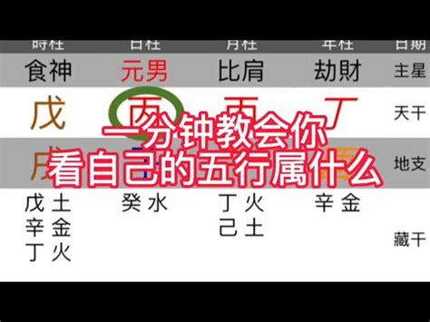 出生年 五行|免費生辰八字五行屬性查詢、算命、分析命盤喜用神、喜忌